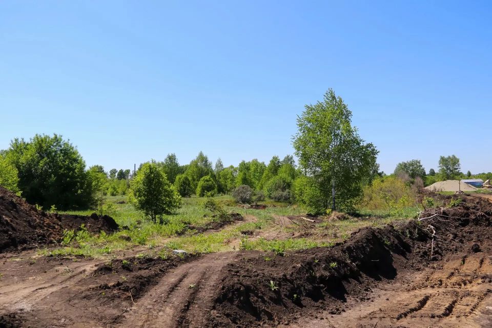 Донецкая, Краснодарская, Мариупольская, Ялтинская – на карте Барнаула появились новые улицы Донецкая, Краснодарская, Мариупольская, Ялтинская – на карте Барнаула появились новые улицы
