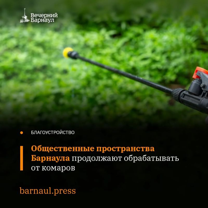 В Барнауле продолжается плановая обработка территорий от комаров