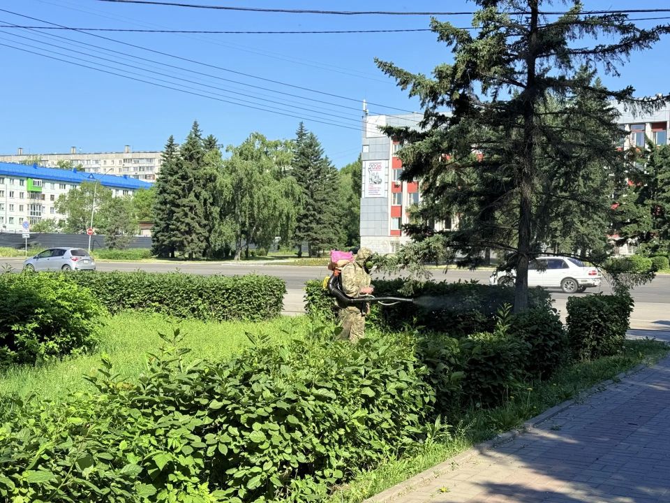 В Бийске приступили к обработке парков от комаров В Бийске приступили к обработке парков от комаров
