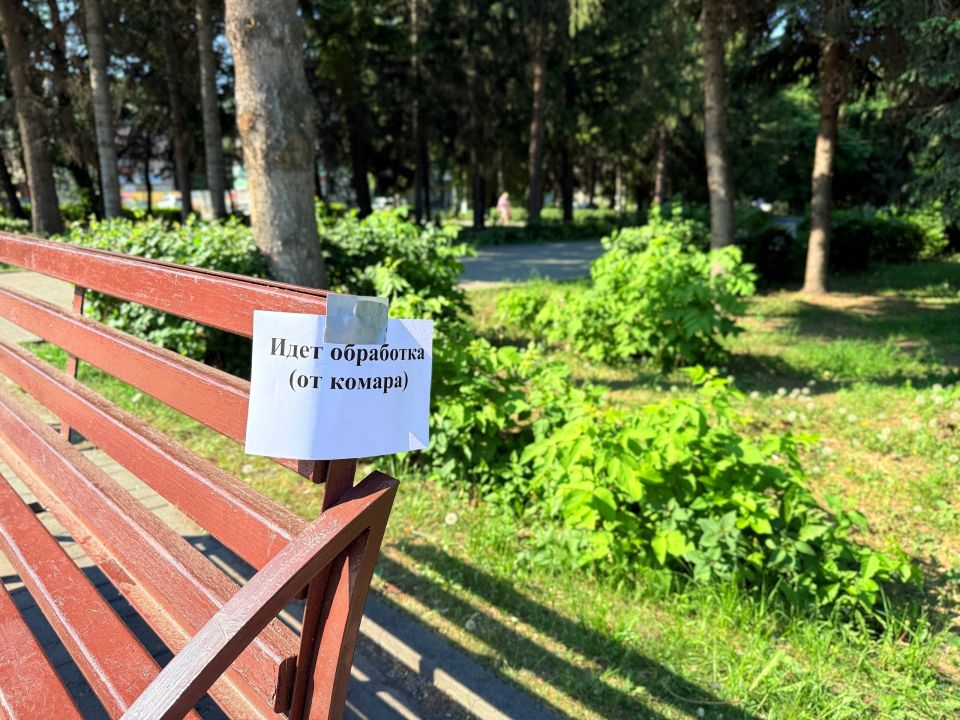 В Бийске приступили к обработке парков от комаров