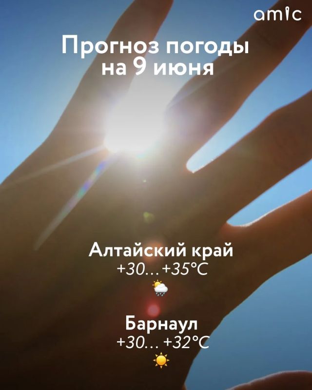 Доброе утро! О погоде в Алтайском крае 9 июня