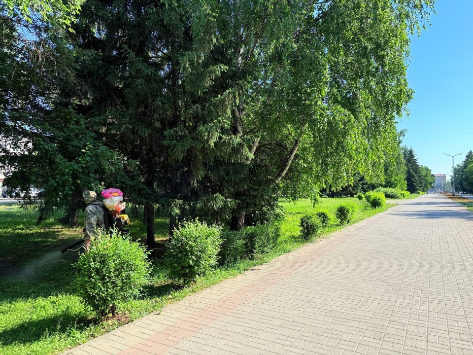 В Бийске приступили к обработке парков от комаров В Бийске приступили к обработке парков от комаров