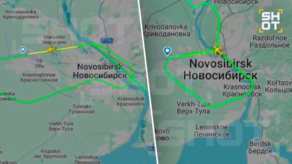 Собака задержала два самолета в аэропорту Новосибирска