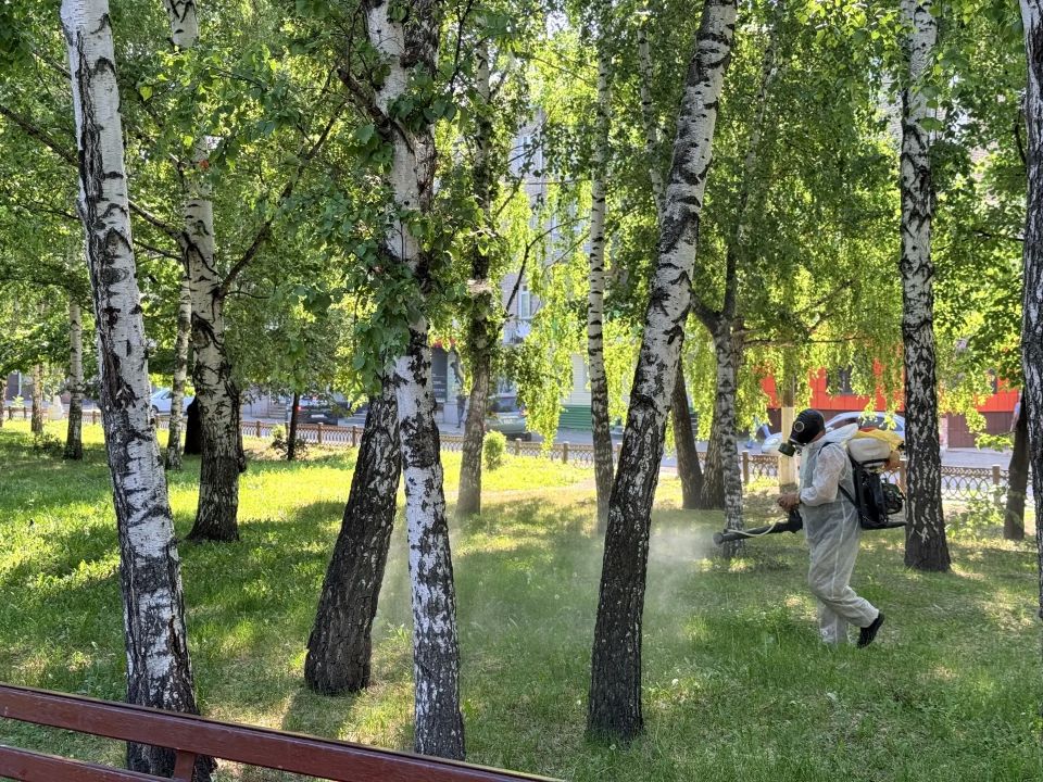В Бийске приступили к обработке парков от комаров В Бийске приступили к обработке парков от комаров