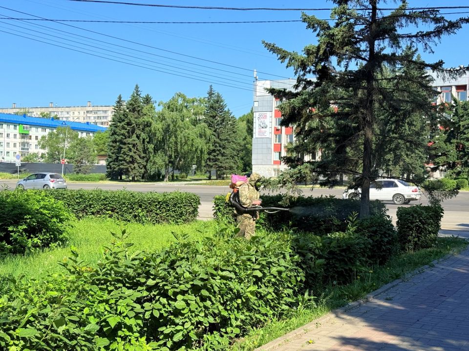 В Бийске приступили к обработке парков от комаров В Бийске приступили к обработке парков от комаров