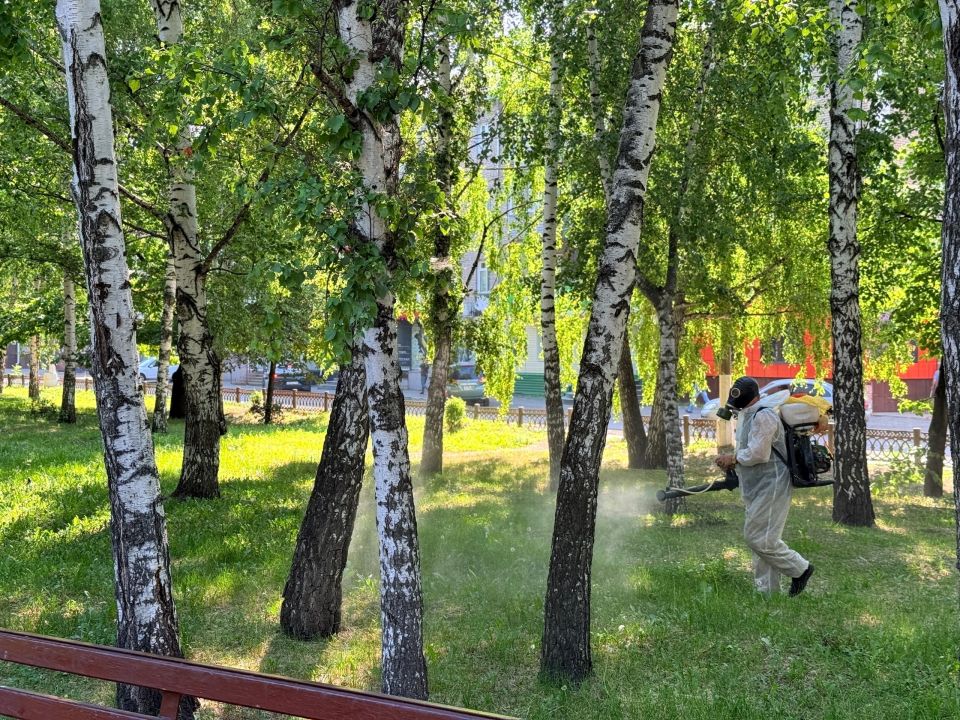 В Бийске приступили к обработке парков от комаров В Бийске приступили к обработке парков от комаров