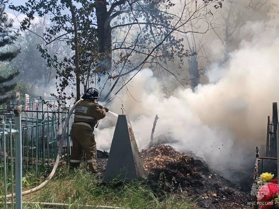 В Михайловском районе горит кладбище В Михайловском районе горит кладбище