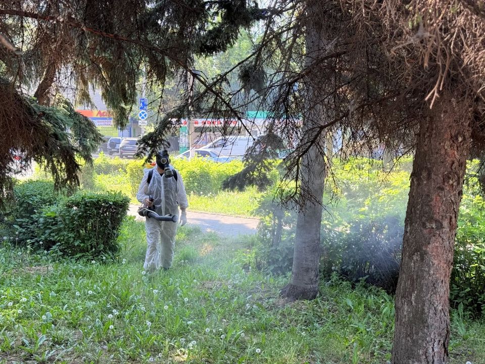 В Бийске приступили к обработке парков от комаров В Бийске приступили к обработке парков от комаров
