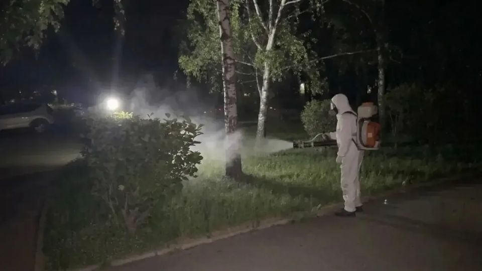 В Барнауле продолжаются дезинсекционные мероприятия: общественные пространства обрабатывают от комаров В Барнауле продолжаются дезинсекционные мероприятия: общественные пространства обрабатывают от комаров
