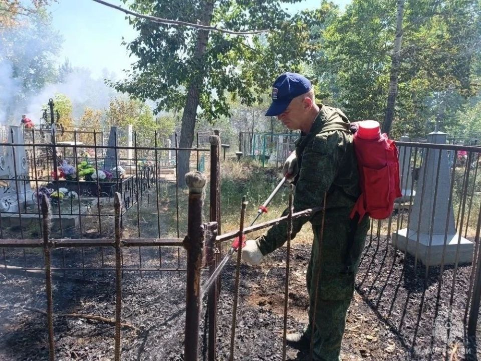 В Михайловском районе горит кладбище В Михайловском районе горит кладбище