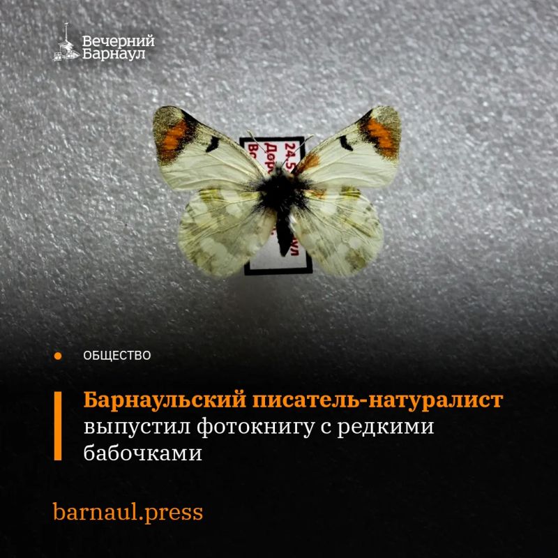 Барнаульский писатель-натуралист Игорь Волгин выпустил новые книги с фотоматериалами о фауне Алтайского края