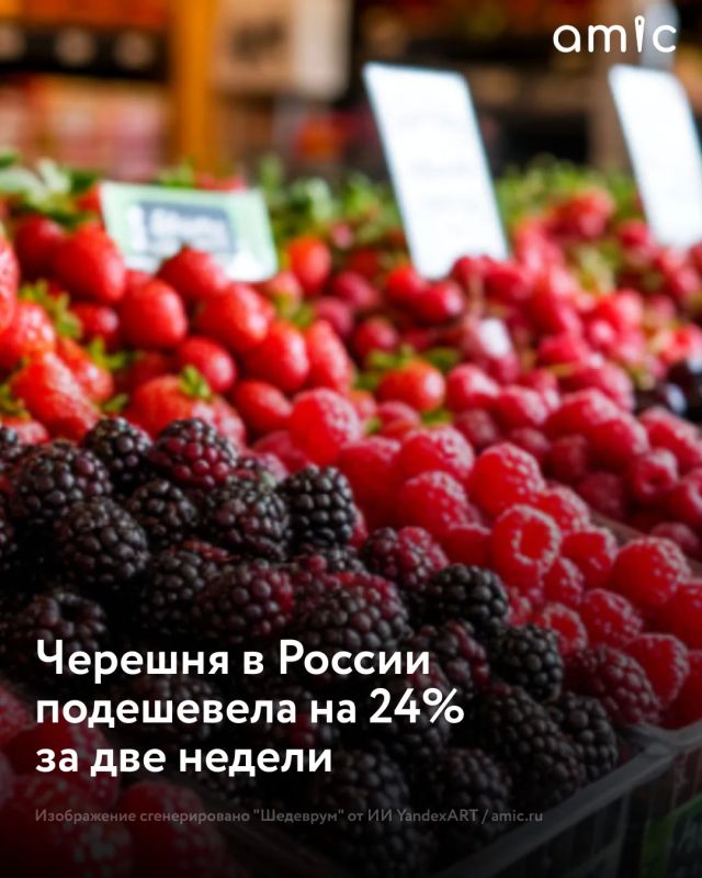 Цена на черешню в российских торговых сетях за последние две недели снизилась на 24% — до 610 рублей за килограмм