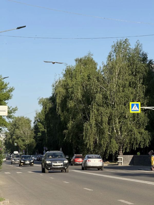 Всем доброе утро!. 10 июня в Алтайском крае ожидается преимущественно без осадков, но по западным районам местами возможны небольшие дожди и грозы Всем доброе утро!. 10 июня в Алтайском крае ожидается преимущественно без осадков, но по западным районам местами возможны небольшие дожди и грозы