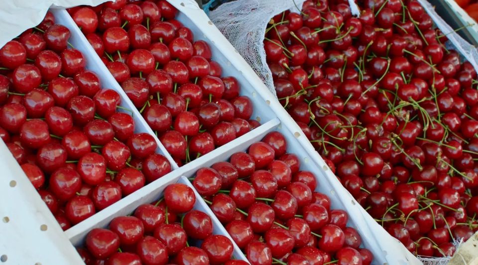 Черешня в России подешевела на 24 % за 2 недели