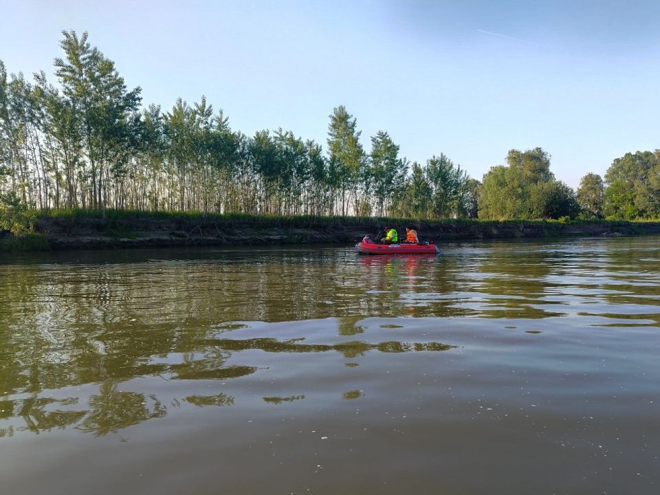 В районе поселка Бельмесево ведутся поиски пропавшего 19-летнего парня В районе поселка Бельмесево ведутся поиски пропавшего 19-летнего парня