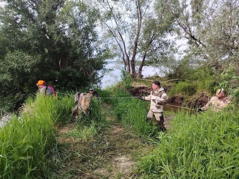 В районе поселка Бельмесево ведутся поиски пропавшего 19-летнего парня В районе поселка Бельмесево ведутся поиски пропавшего 19-летнего парня