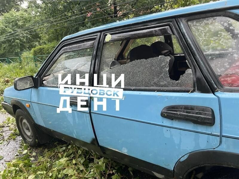 В Рубцовске сильный ветр повалил деревья В Рубцовске сильный ветр повалил деревья
