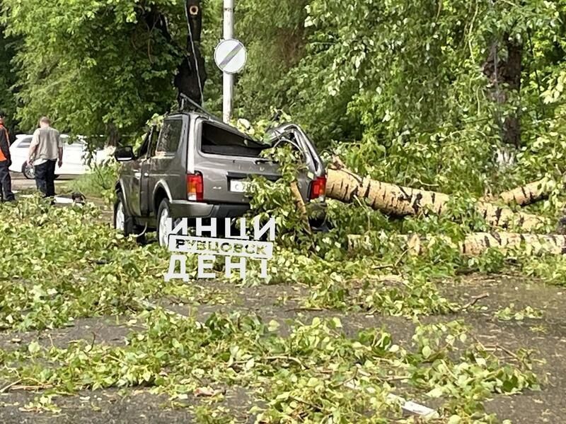 В Рубцовске сильный ветр повалил деревья