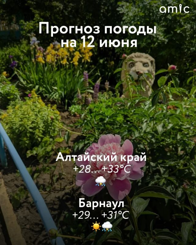12 июня температура воздуха в Алтайском крае прогреется до +28...+33 градусов. Местами кратковременные дожди, грозы, при грозах возможен град