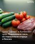 Алтайкрайстат зафиксировал разнонаправленную динамику цен на основные продукты в начале июня 2026 года