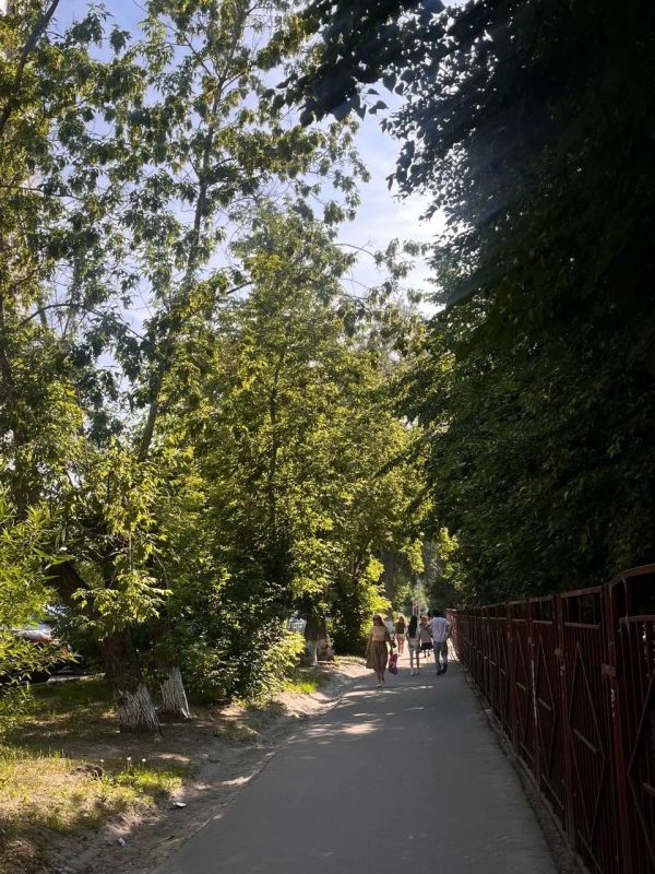 В воскресенье, 14 июня, в Алтайском крае продолжится период жары