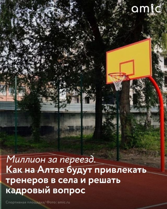 В Алтайском крае начали принимать заявки на участие в программе "Земский тренер"