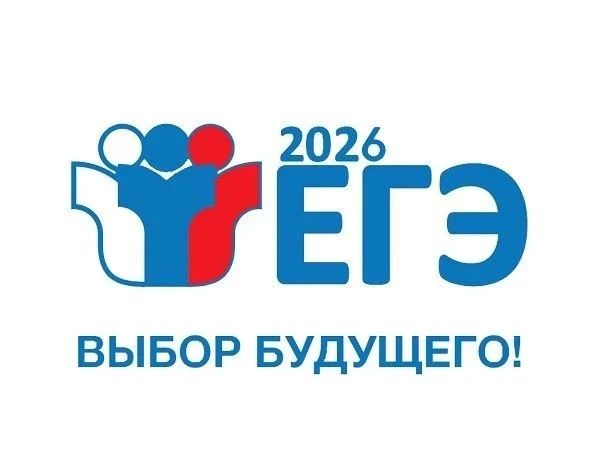 Более 760 выпускников Алтайского края сдали ЕГЭ по русскому на 80+ баллов