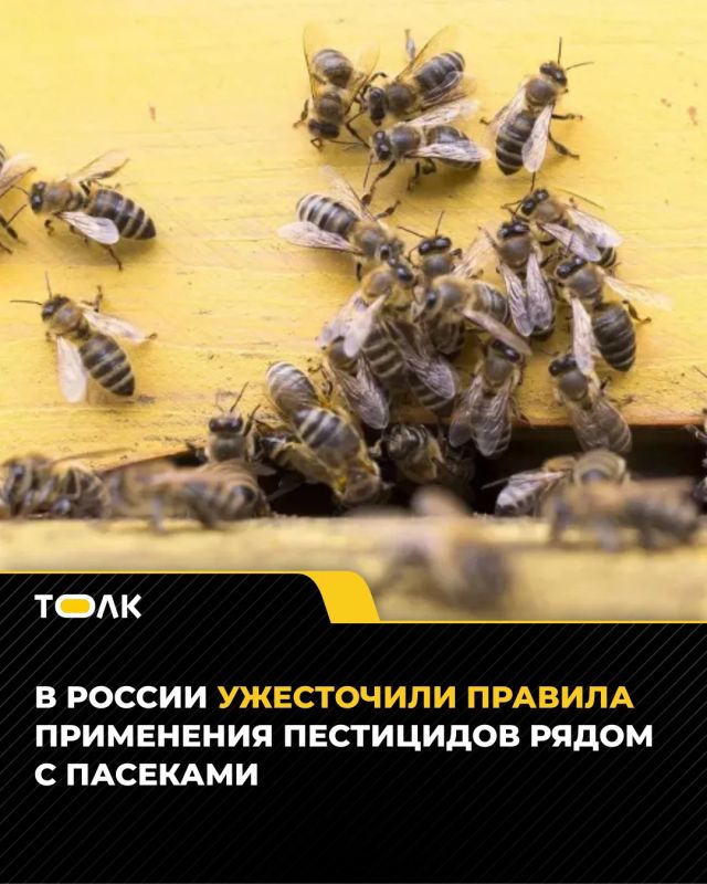 Россельхозцентр рассказал о новых правилах оповещения при использовании пестицидов