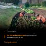 В Барнауле продолжают высаживать цветы