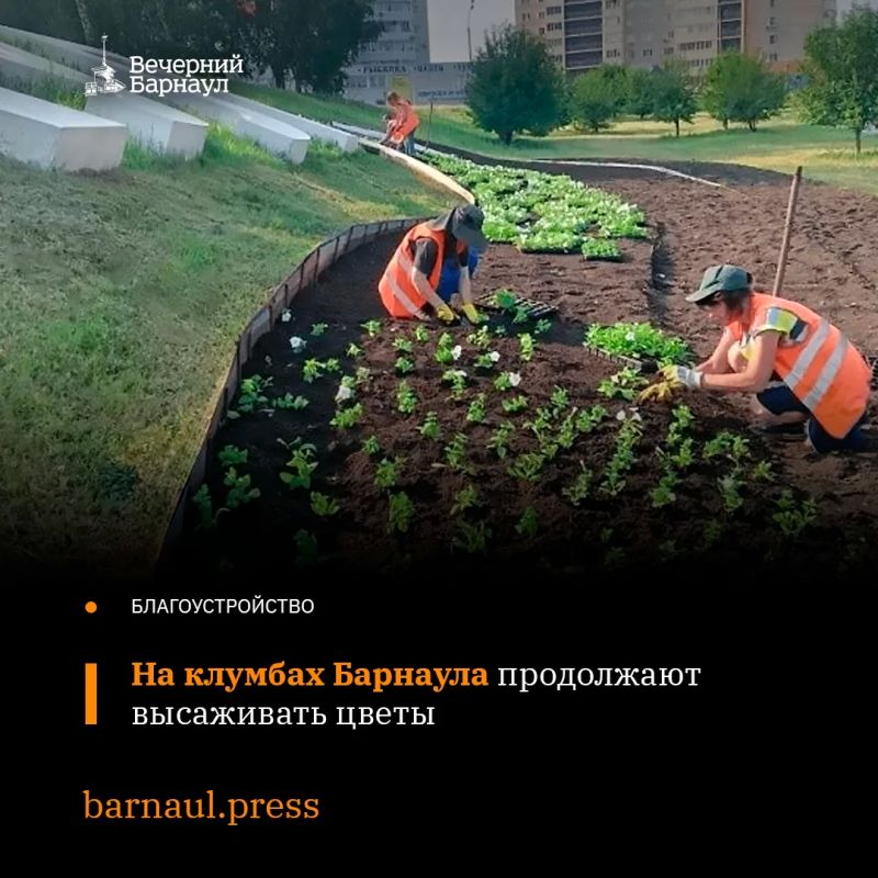 В Барнауле продолжают высаживать цветы