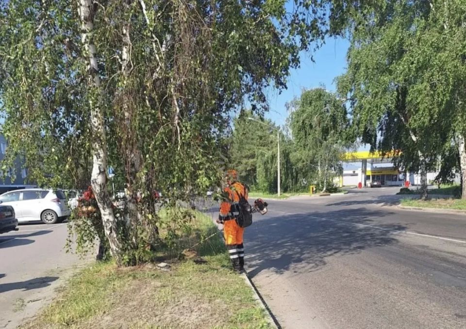 Дорожники наводят чистоту на улицах Барнаула Дорожники наводят чистоту на улицах Барнаула