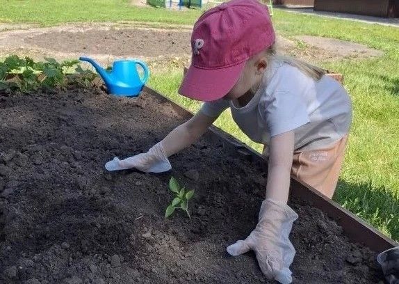 В барнаульских детских садах проходят мероприятия в рамках экологического воспитания В барнаульских детских садах проходят мероприятия в рамках экологического воспитания