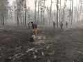 Почти 4000 человек будут тушить пожары в лесах Алтайском крае помимо МЧС
