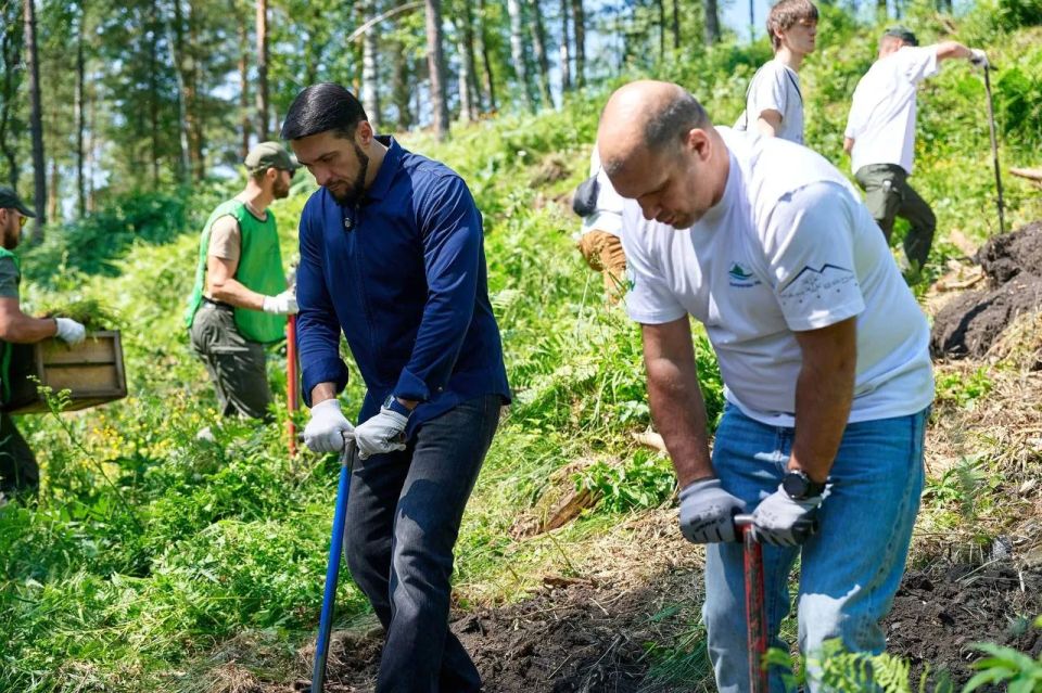 4 тысячи саженцев высадили в Майминском районе Республики Алтай 4 тысячи саженцев высадили в Майминском районе Республики Алтай