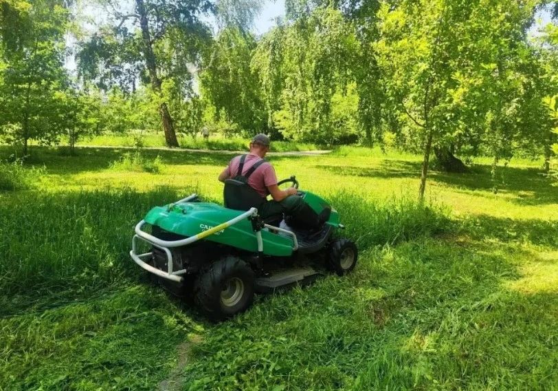 В Барнауле стригут газоны на общественных территориях В Барнауле стригут газоны на общественных территориях