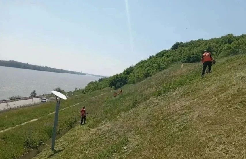 В Барнауле стригут газоны на общественных территориях В Барнауле стригут газоны на общественных территориях