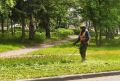 В Барнауле стригут газоны на общественных территориях