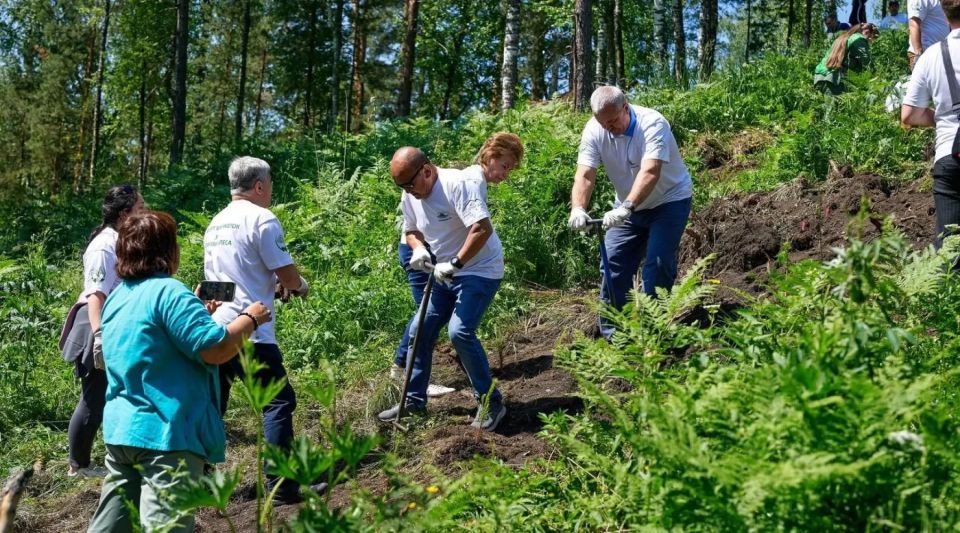 Всесезонный курорт Сбера «Манжерок» расширяет масштабы природоохранных проектов