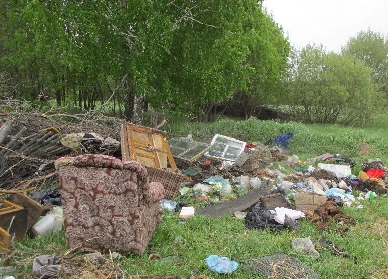 В одном из районов Алтайского края нашли свалку площадью более 4 тысяч квадратных метров