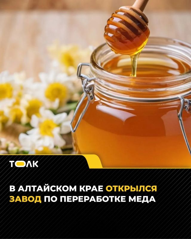 Новый завод по переработке меда запустили в Алтайском крае