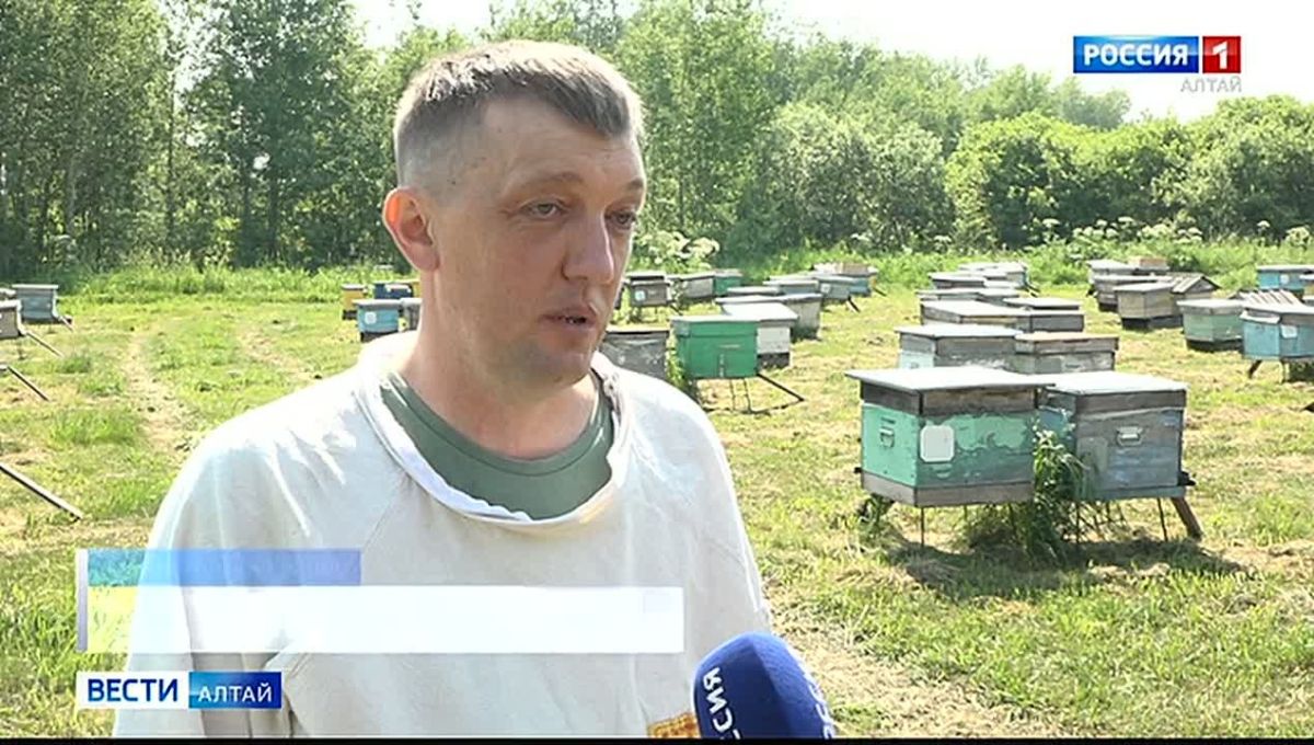 На 20 пчелосемей в год растёт сладкий бизнес пчеловода из Красногорского района