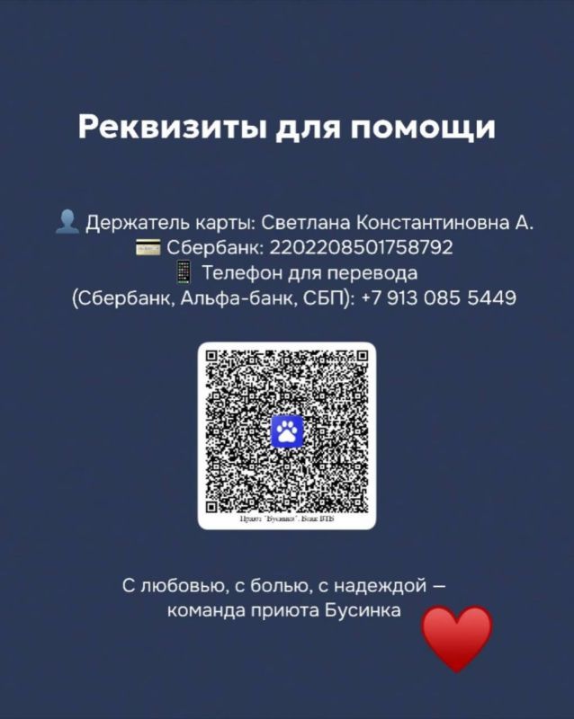 Питомцев барнаульского частного приюта «Бусинка» больше не могут лечить в ветклиниках из-за долгов Питомцев барнаульского частного приюта «Бусинка» больше не могут лечить в ветклиниках из-за долгов