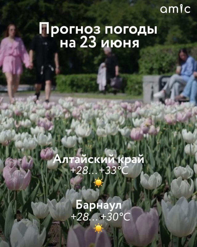 До +33. Какая погода будет в Алтайском крае 23 июня