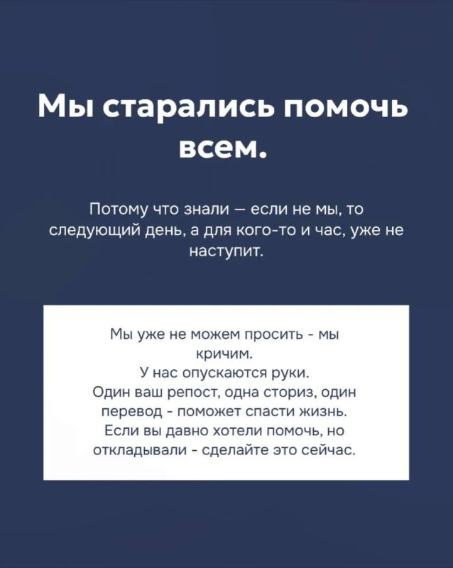 Питомцев барнаульского частного приюта «Бусинка» больше не могут лечить в ветклиниках из-за долгов Питомцев барнаульского частного приюта «Бусинка» больше не могут лечить в ветклиниках из-за долгов