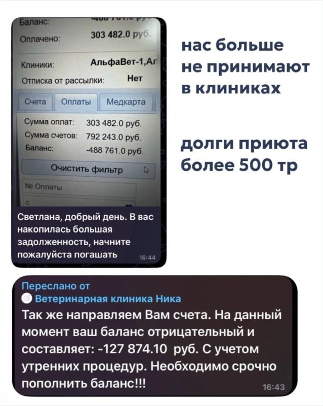 Питомцев барнаульского частного приюта «Бусинка» больше не могут лечить в ветклиниках из-за долгов Питомцев барнаульского частного приюта «Бусинка» больше не могут лечить в ветклиниках из-за долгов