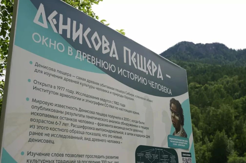 Вперед, в прошлое. Археологи наметили раскопки в новом месте Денисовой пещеры Вперед, в прошлое. Археологи наметили раскопки в новом месте Денисовой пещеры