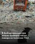 Прокуратура Алтайского края организовала проверку после пожара на мусорном полигоне в Бийске