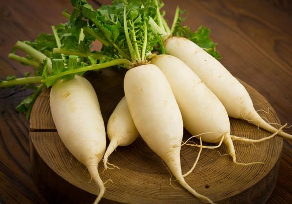 Секреты изысканного вкуса: шесть способов подать редьку