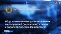 Алтайский край обновил антирекорд по бешенству животных
