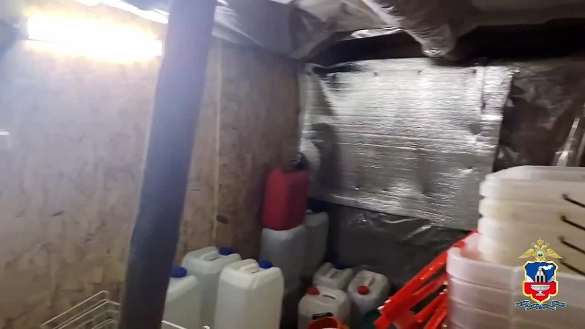 В Алтайском крае полиция сорвала план сельчанина изготовить около 20 кг мефедрона для наркошопа